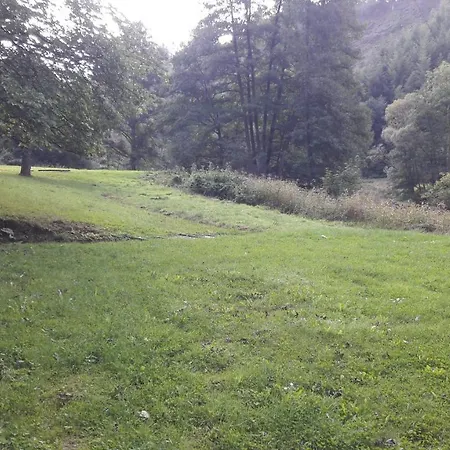 Bivakboerderij مزرعة للإقامة *